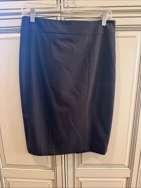 Ann Taylor brown Women's Pencil Skirt